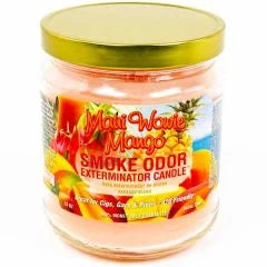 Smoke Odor Exterminator Candles 13oz