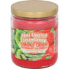 Kiwi Twisted Strawberry